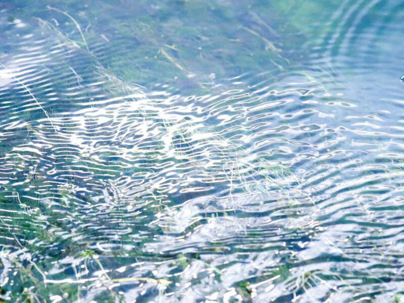 Het effect van Manuele Lymfedrainage Het effect van Manuele Lymfedrainage