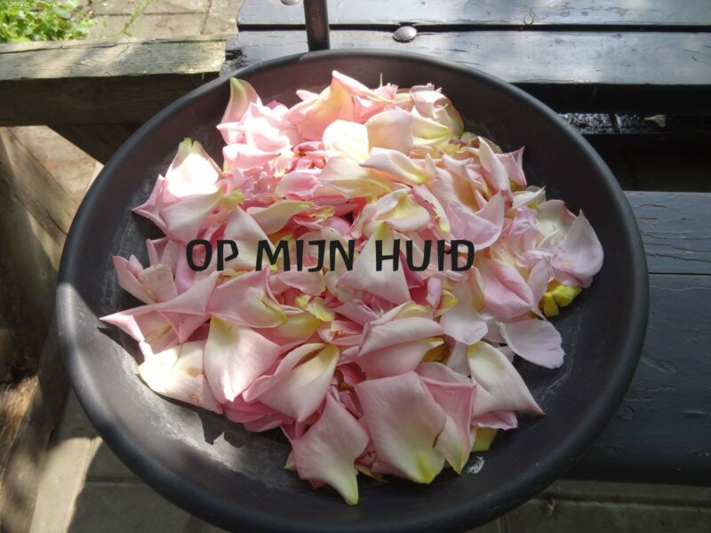 Op mijn huid Op mijn huid